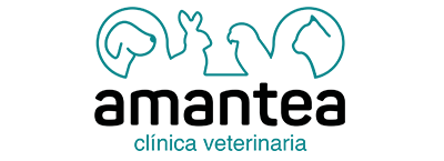 CLÍNICA VETERINARIA AMANTEA